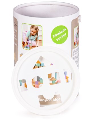 DREWNIANE KLOCKI 100 SZT WIADERKO + SORTER ECOTOYS