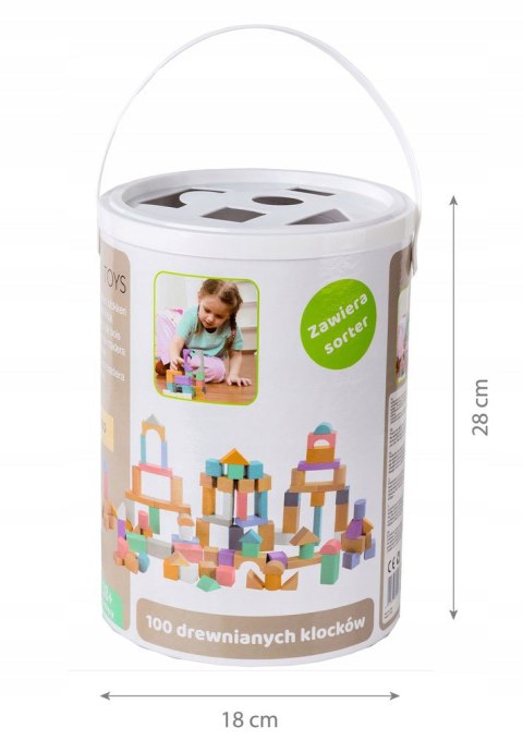 DREWNIANE KLOCKI 100 SZT WIADERKO + SORTER ECOTOYS